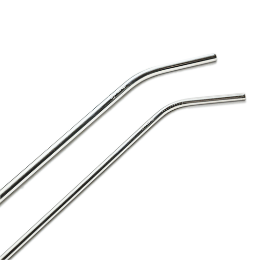 Stainless Steel Straw 2-Pack